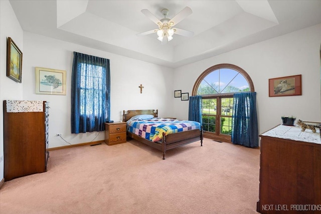 46W306 Woodview Pkwy, Hampshire, IL 60140 - bedroom with a tray ceiling, light colored carpet, and multiple windows