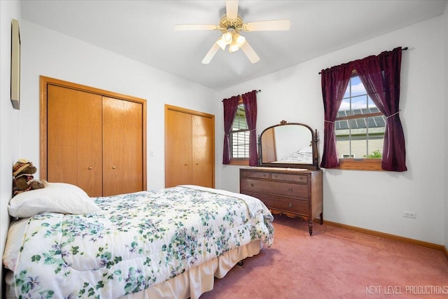 46W306 Woodview Pkwy, Hampshire, IL 60140 - bedroom with two closets, multiple windows, carpet, and baseboards