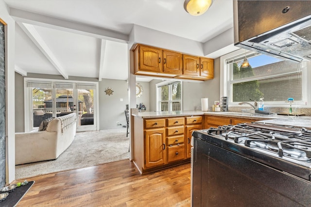 26312 W Blackhawk Ave, Ingleside, IL 60041 - kitchen with black range with gas cooktop, light wood finished floors, light countertops, and brown cabinetry