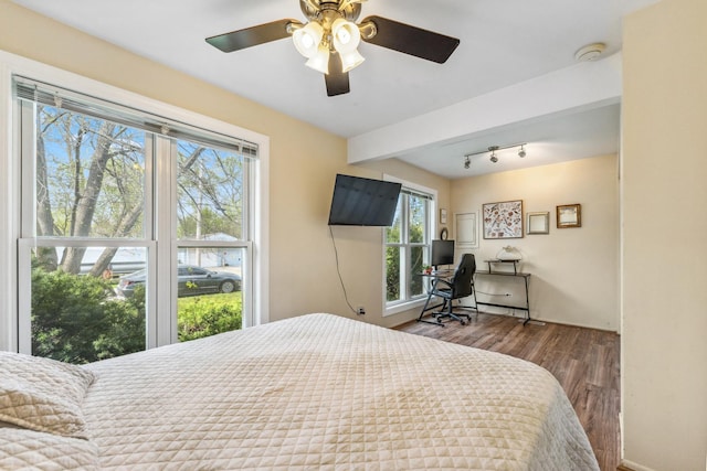 26312 W Blackhawk Ave, Ingleside, IL 60041 - bedroom featuring rail lighting, a ceiling fan, and wood finished floors