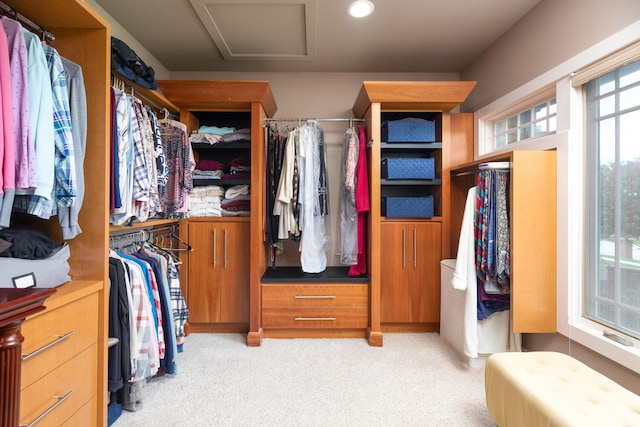 walk in closet featuring light carpet and attic access