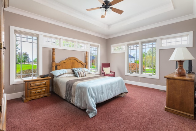 bedroom with carpet floors, a raised ceiling, and multiple windows