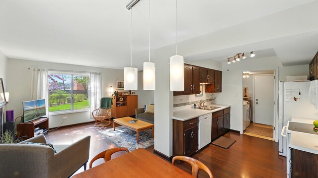 kitchen with dark brown cabinetry, a sink, white appliances, light countertops, and dark wood finished floors