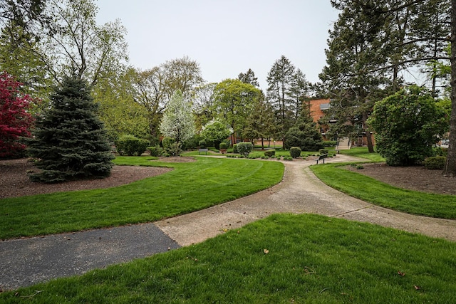 view of home's community with a lawn