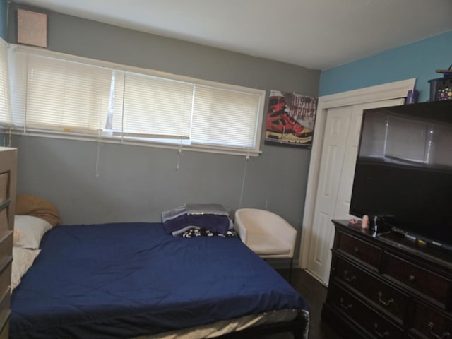 3109 Sussex Ave, Markham, IL 60428 - bedroom with a closet