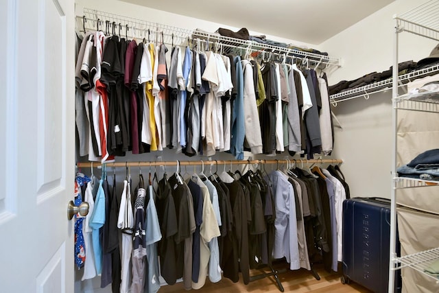 walk in closet featuring wood finished floors