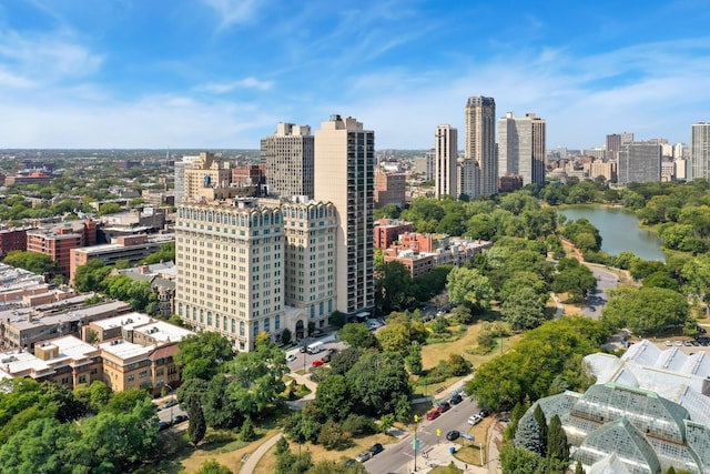 2314 N Lincoln Park W Unit 8-9S, Chicago, IL 60614 - city view featuring a water view