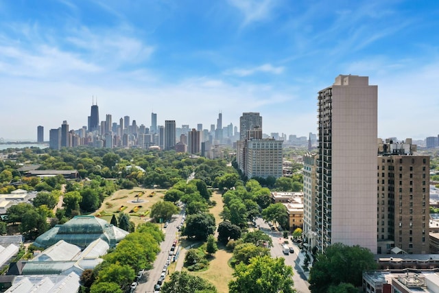 2314 N Lincoln Park W Unit 8-9S, Chicago, IL 60614 - view of city