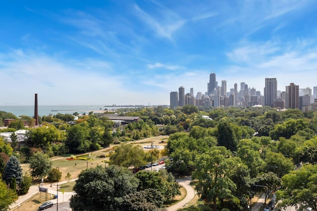 2314 N Lincoln Park W Unit 8-9S, Chicago, IL 60614 - drone / aerial view with a view of city and a water view