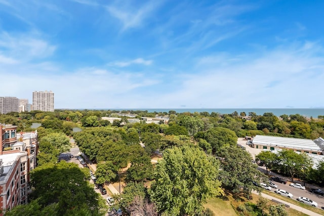 2314 N Lincoln Park W Unit 8-9S, Chicago, IL 60614 - aerial view with a water view