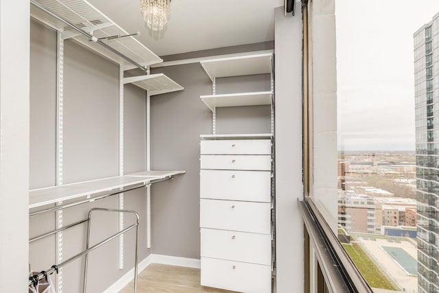 spacious closet featuring light wood-style floors