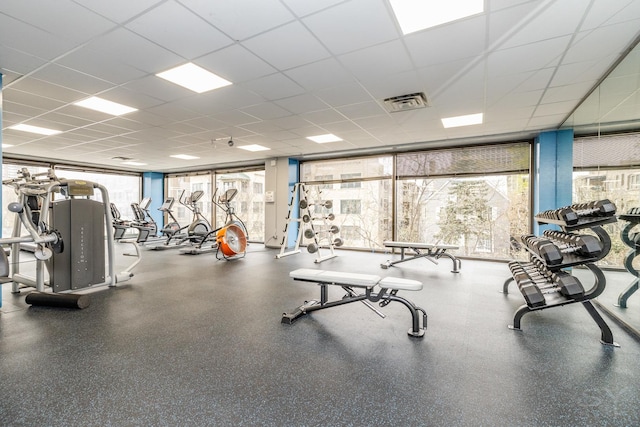 exercise room featuring visible vents, a drop ceiling, and expansive windows