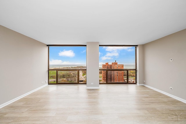 unfurnished room featuring light wood finished floors, a wealth of natural light, and a wall of windows
