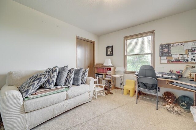 227 N Hickory St, Cortland, IL 60112 - home office featuring carpet