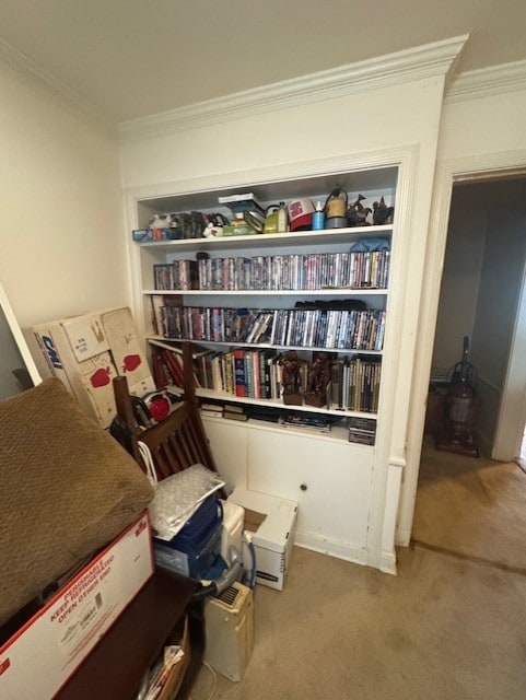 sitting room featuring carpet floors and ornamental molding