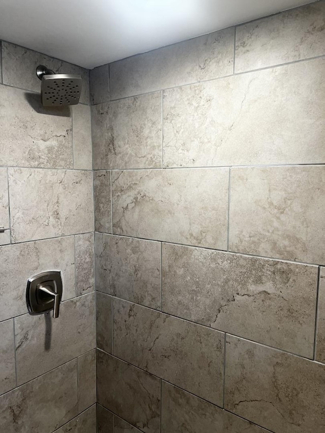 room details with tiled shower