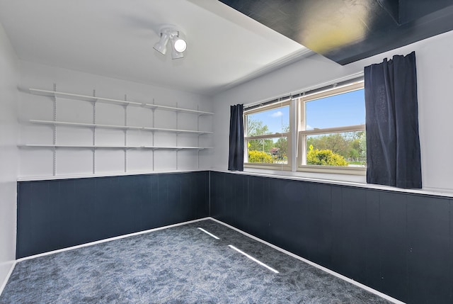 705 Old Mill Grove Rd, Lake Zurich, IL 60047 - empty room featuring a wainscoted wall and carpet