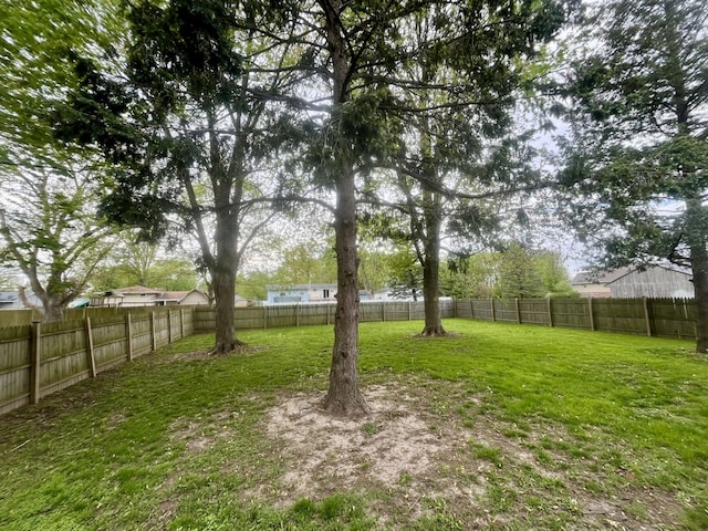 view of yard featuring a fenced backyard