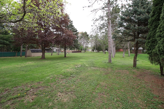 view of yard featuring a storage unit and fence