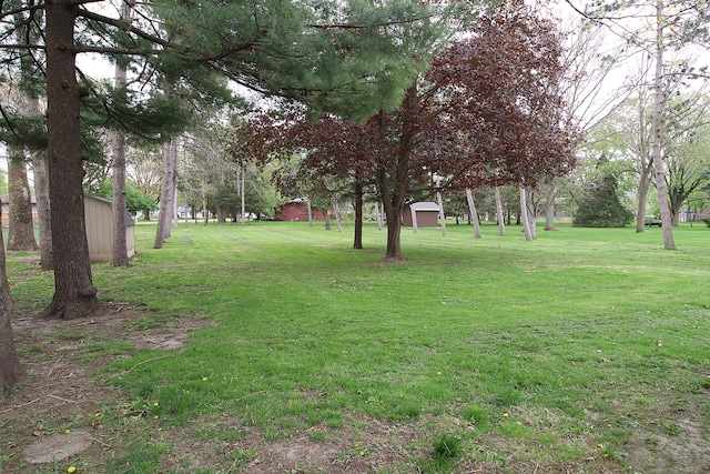 view of yard featuring a storage shed and an outdoor structure