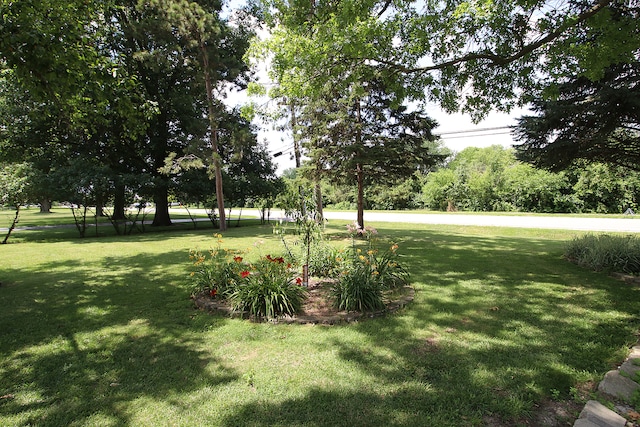 14521 S Naperville Rd, Plainfield, IL 60544 - photo 30