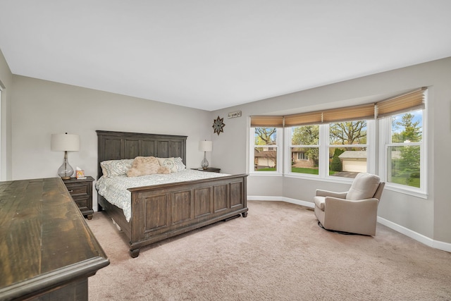 629 Sheffield Ln, Bolingbrook, IL 60440 - bedroom with baseboards and light colored carpet