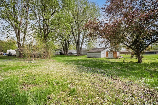 view of yard with an outdoor structure and a storage unit