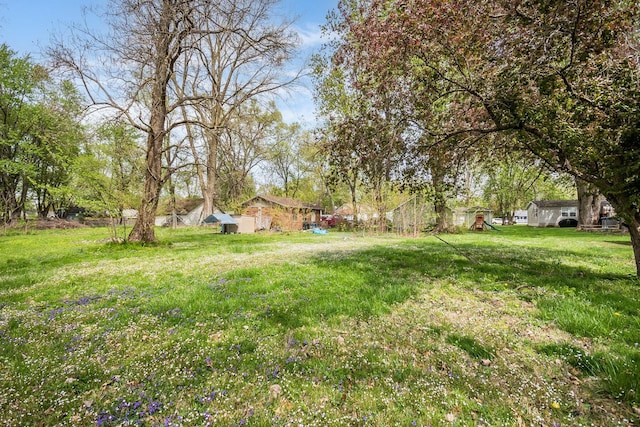 view of yard