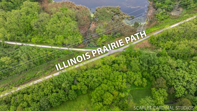 645 Rosewood Dr, West Chicago, IL 60185 - bird's eye view of a heavily wooded area