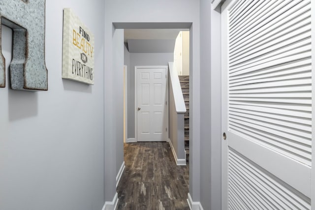 3052 Mosedale St, Elgin, IL 60124 - hallway with baseboards and dark wood-type flooring