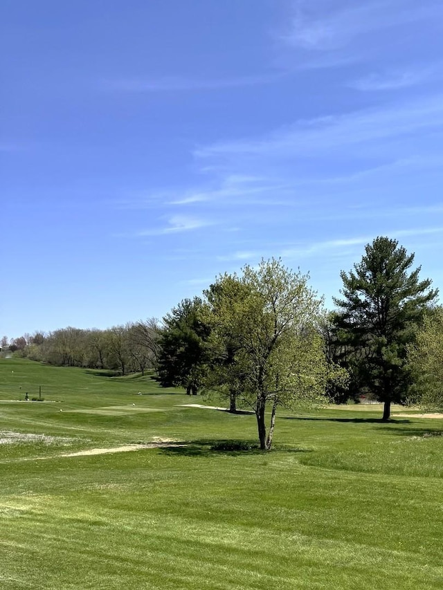 view of property's community featuring a yard