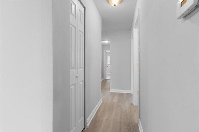 877 163rd St, Calumet City, IL 60409 - hall featuring baseboards and light wood finished floors