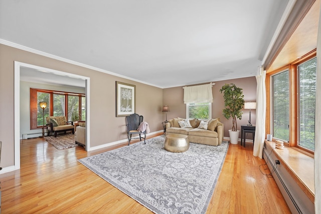 227 Abbott Pl, Tower Lakes, IL 60010 - living area featuring healthy amount of natural light, a baseboard radiator, light wood finished floors, crown molding, and baseboards