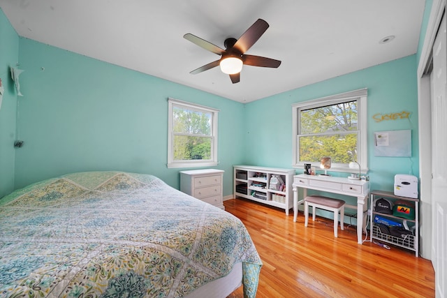 227 Abbott Pl, Tower Lakes, IL 60010 - bedroom featuring wood finished floors, a ceiling fan, and a closet