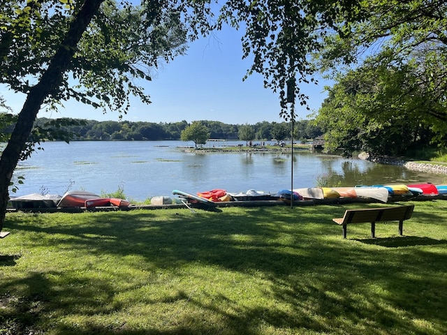 227 Abbott Pl, Tower Lakes, IL 60010 - water view