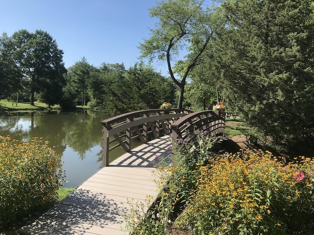 227 Abbott Pl, Tower Lakes, IL 60010 - dock featuring a water view