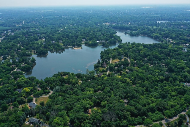 227 Abbott Pl, Tower Lakes, IL 60010 - bird's eye view of a nearby body of water and a heavily wooded area