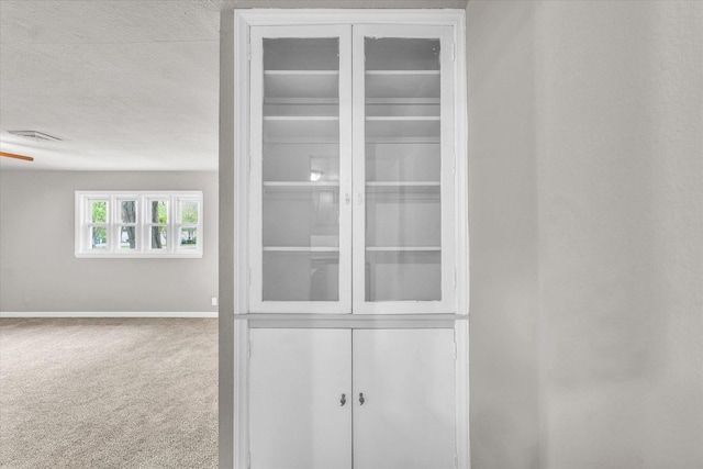 902 N Lincoln Ave, Urbana, IL 61801 - detailed view of baseboards, carpet flooring, and a textured ceiling