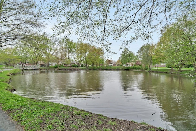 property view of water