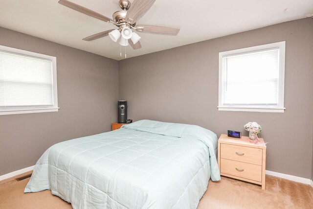 705 Jonette Ave, Bradley, IL 60915 - photo 20