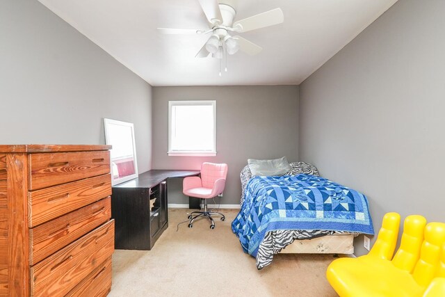 705 Jonette Ave, Bradley, IL 60915 - photo 21