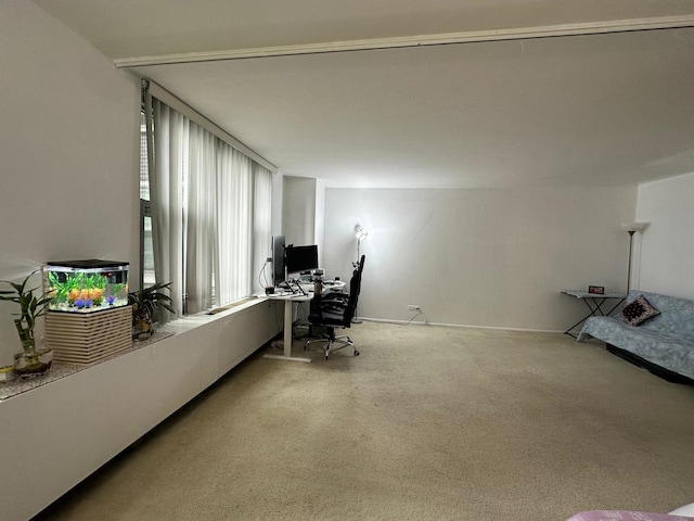 400 E Randolph St Unit 921, Chicago, IL 60601 - office with baseboards and carpet floors