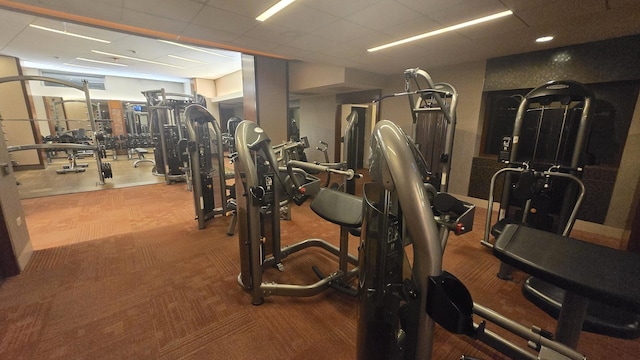 400 E Randolph St Unit 921, Chicago, IL 60601 - exercise room featuring a paneled ceiling and carpet flooring