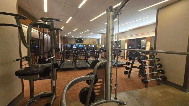 400 E Randolph St Unit 921, Chicago, IL 60601 - exercise room with a paneled ceiling