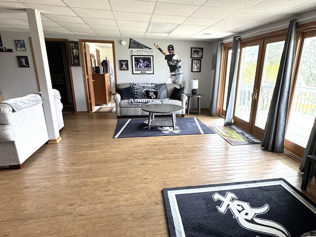 25-14 Country Hill Ct, Lake Carroll, IL 61046 - living room featuring a paneled ceiling, baseboards, french doors, and wood finished floors