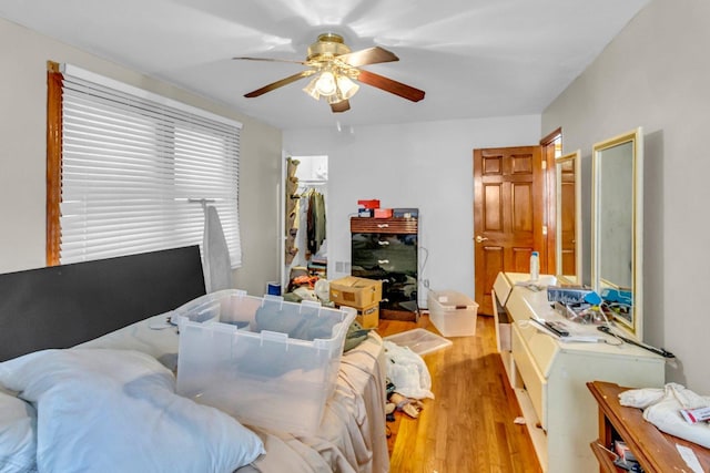 8619 S Jeffery Blvd, Chicago, IL 60617 - bedroom featuring a ceiling fan, a walk in closet, light wood-style flooring, and a closet