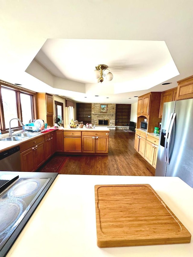 kitchen featuring a sink, a raised ceiling, stainless steel appliances, a peninsula, and dark wood-type flooring