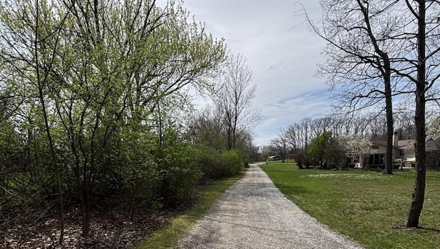 258 S Root Dr, Crete, IL 60417