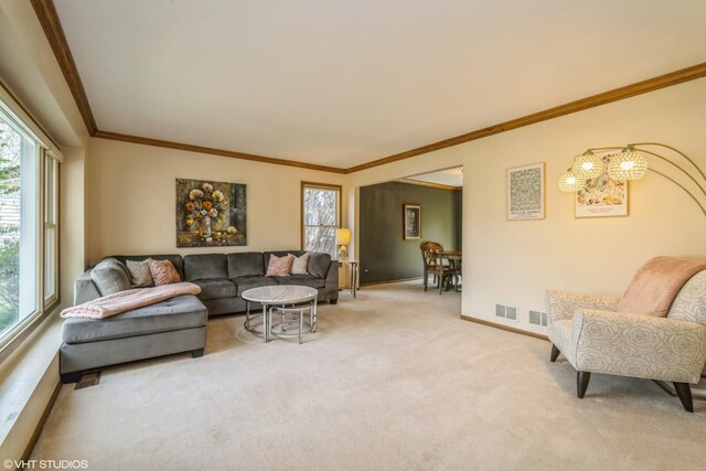 carpeted living room featuring a notable chandelier, baseboards, visible vents, and ornamental molding
