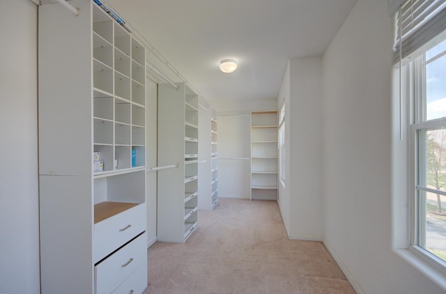 1120 Redwood Ln, Minooka, IL 60447 - walk in closet with light colored carpet